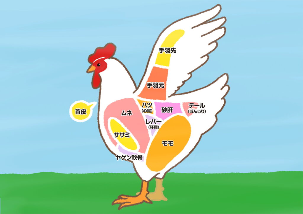 肉のマルサン 鶏の部位イラスト