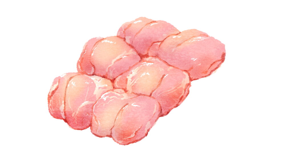 肉のマルサン 鶏肉イラスト