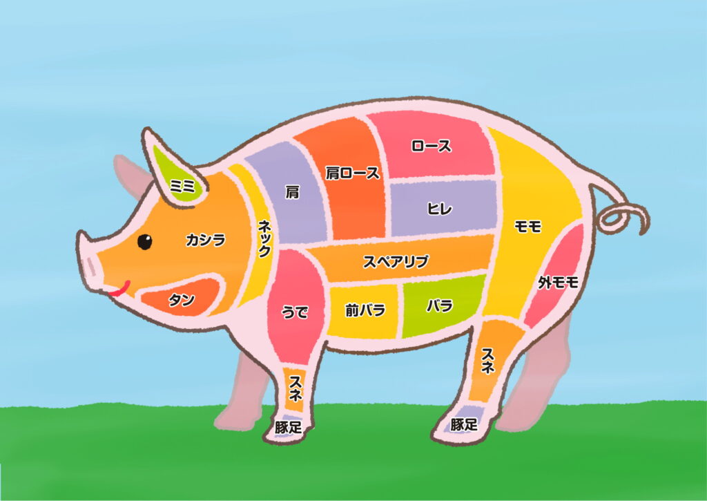 肉のマルサン 豚の部位イラスト